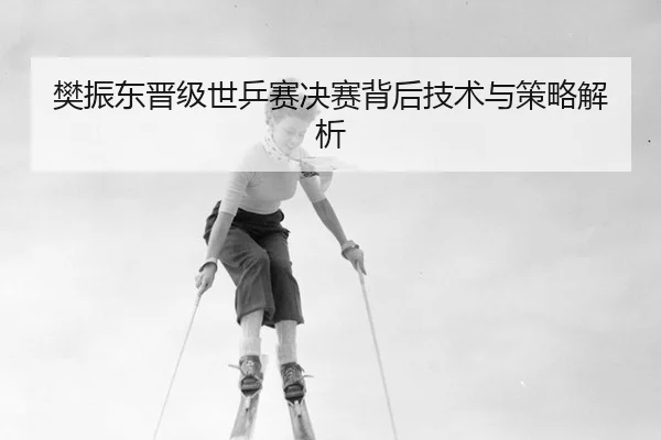 樊振东晋级世乒赛决赛背后技术与策略解析